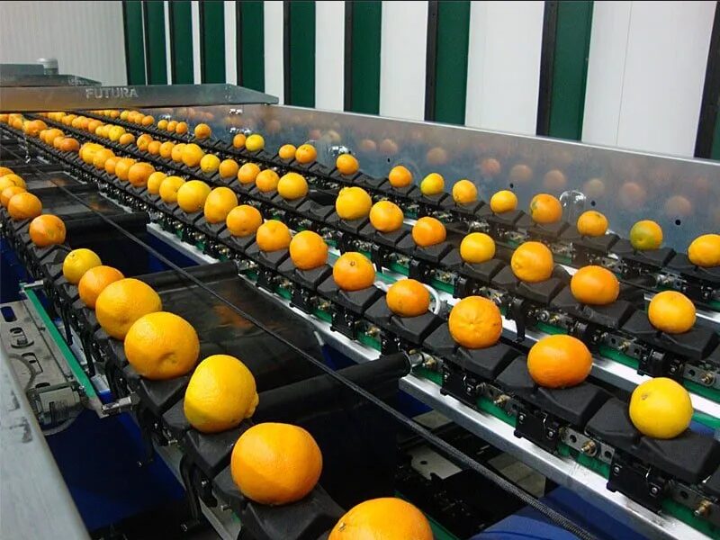 Vision Grading Machine (VG 600), view 1