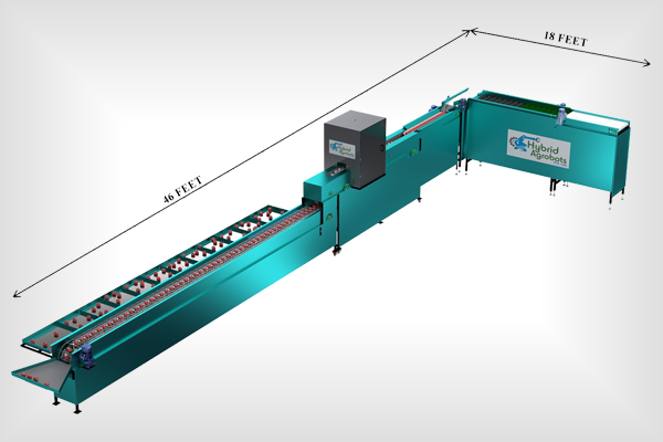 Vision Grading Machine