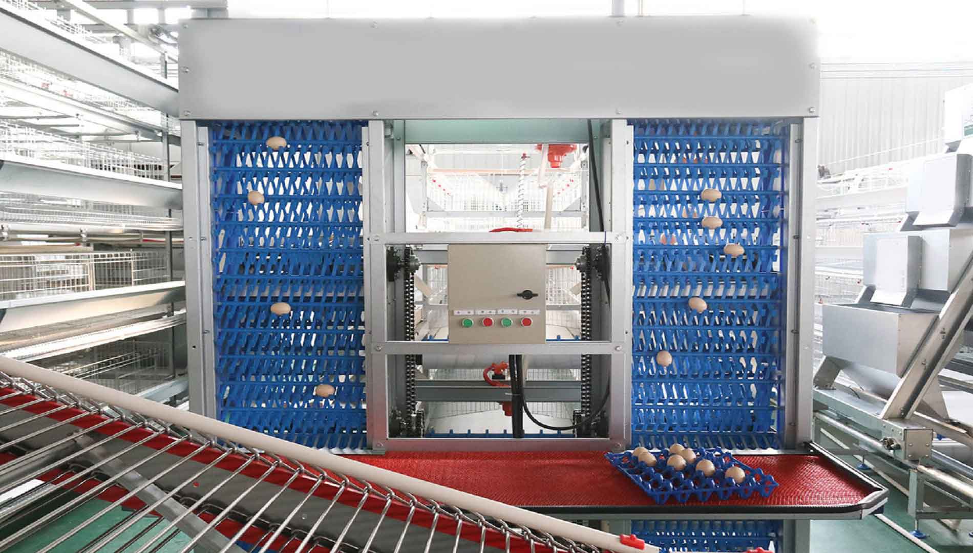 Egg Collection System, view 2