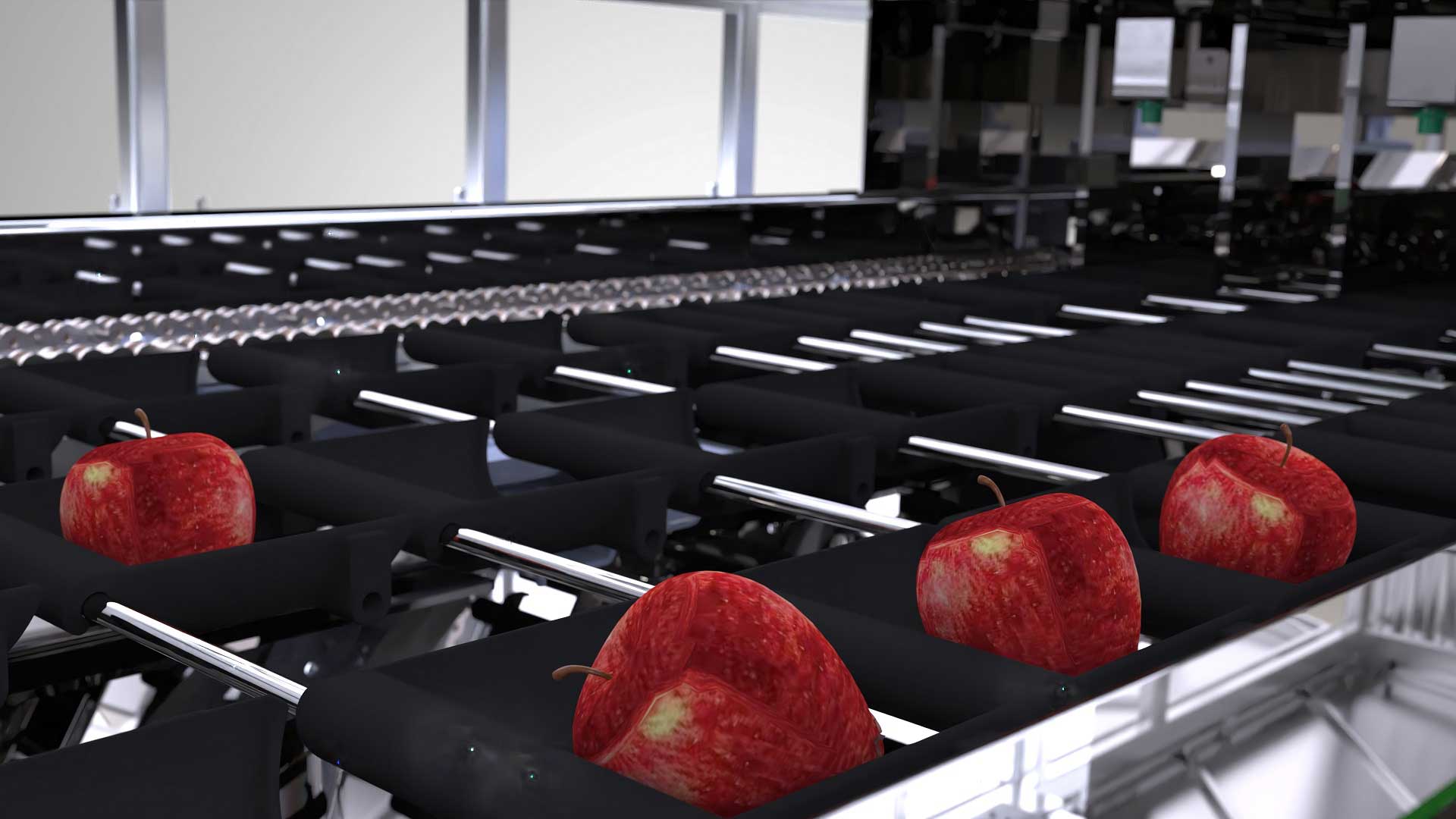 Apple Washing / Brushing / Vision Grading Plant, view 1